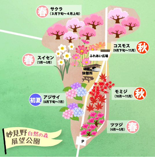 妙見野自然の森展望公園内の植樹の状況