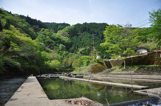川の自然が産んだ天然プールがまぶしい夏の槻木地区の写真